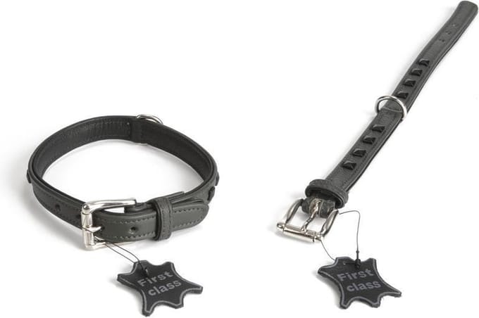 Leren halsband Stud. Grijs.