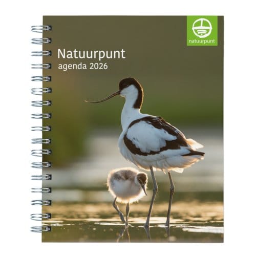 Natuurpunt Vlaanderen Weekagenda 2026