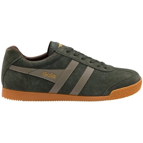 Baskets Gola Harrier