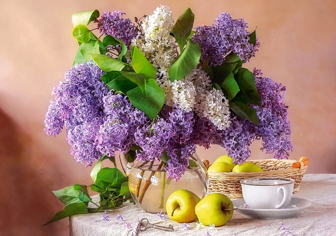 Castorland puzzel lilac stilleven - 500 stukjes legpuzzel.