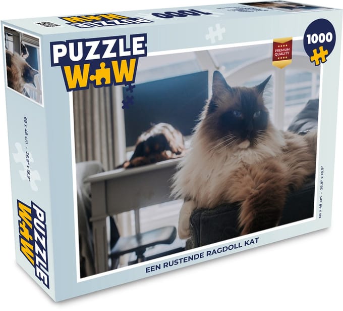 Puzzel Een rustende Ragdoll kat - Legpuzzel - Puzzel 1000 stukjes volwassenen