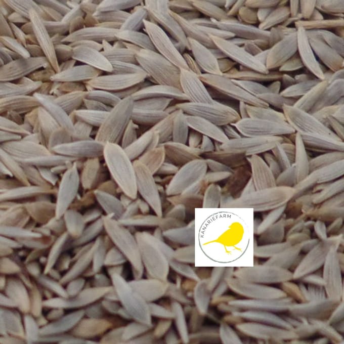 Vogelvoer- Slazaad- Slazaad wit- Saladezaad- 1 kilo