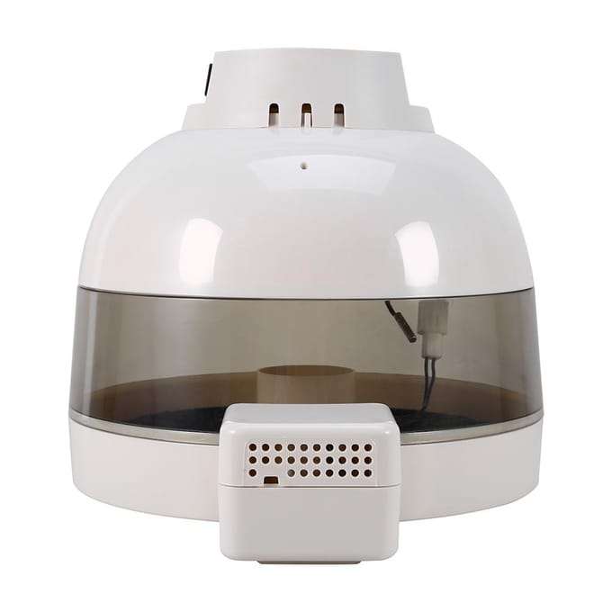 Mini Incubateur Automatique 10 Œufs pour Poulet Canard Oiseaux Enseignement Expérimental gray