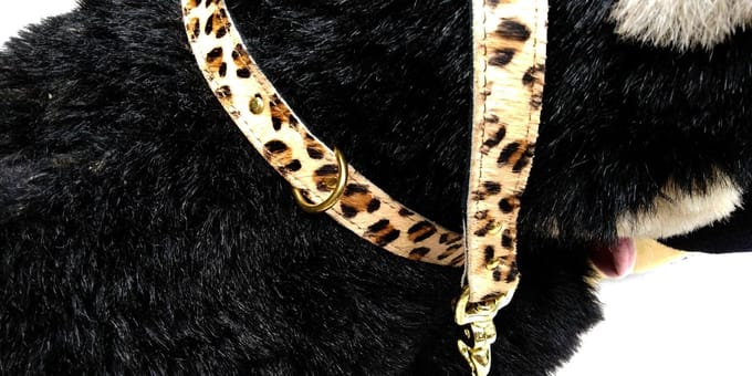 Hetty'S - Stoere set van halsband en riem van echt leer
