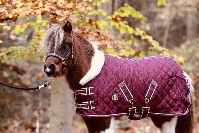 MHS Showdeken Star Performer 175 Bordeaux
