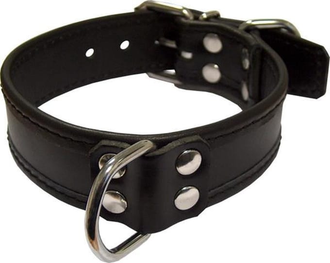 Mister B Leren Slaven Halsband