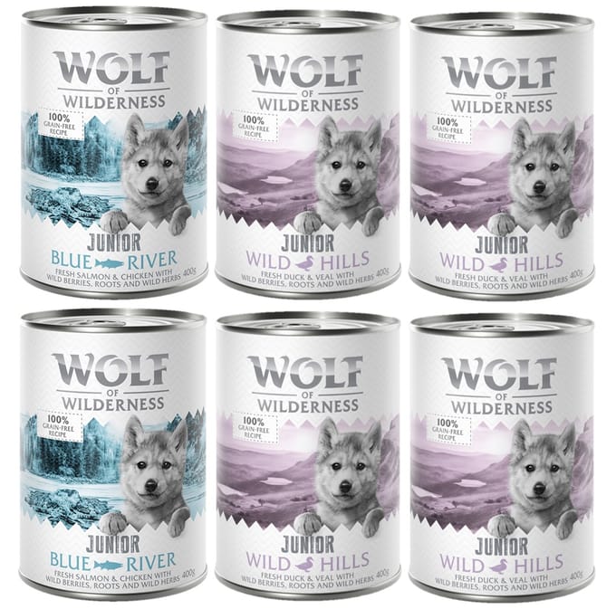 Junior Mixpakket Wolf of Wilderness Graanvrij Honden Natvoer