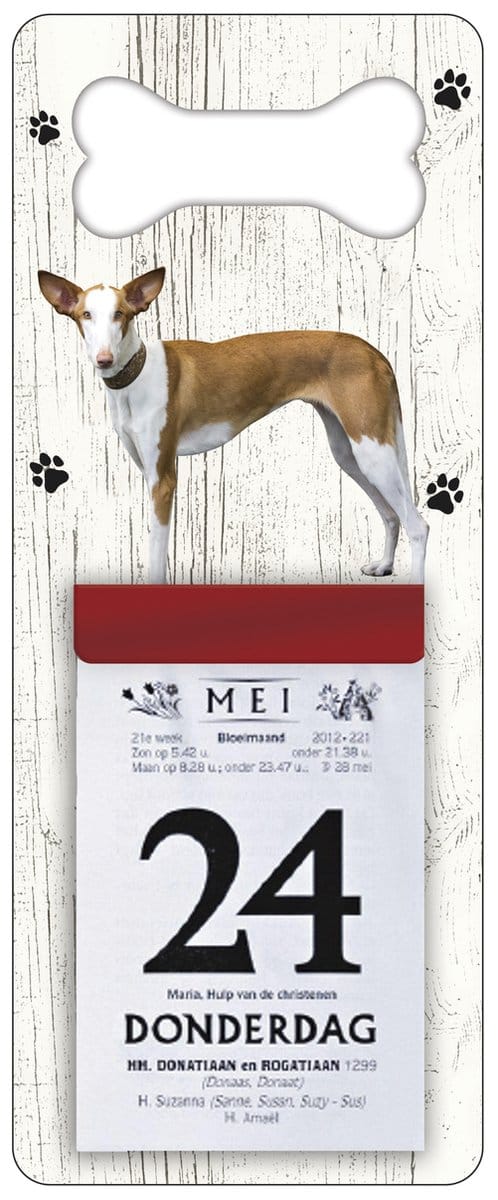 Scheurkalender 2027 Hond: podenco