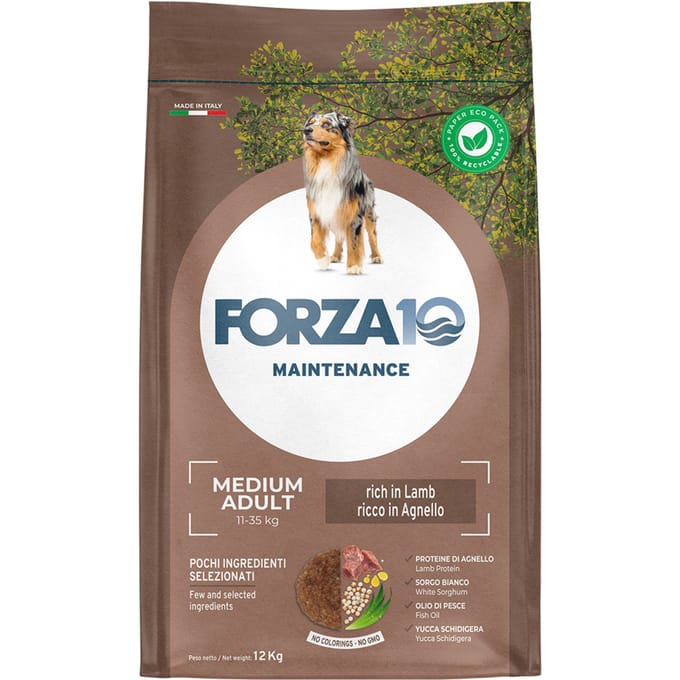 12kg Forza 10 Maintenance Medium Lam & Rijst