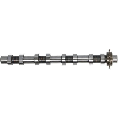 Nokkenas  FRECCIA CM05-2418