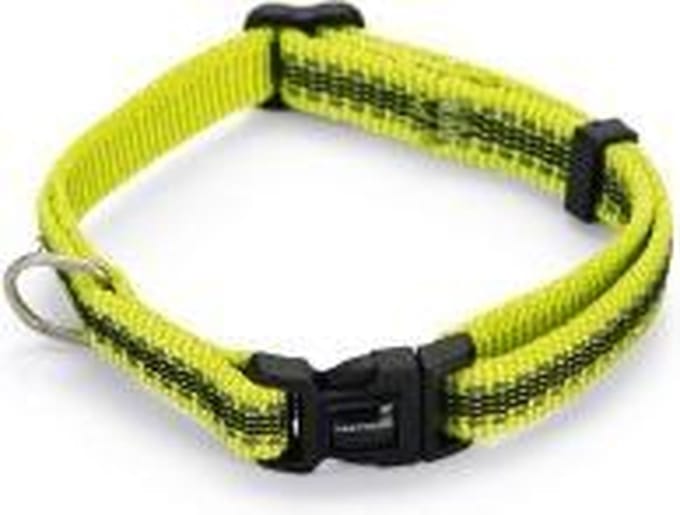 Beeztees nylon halsband Cabo geel 20 - 30 cm x 10 mm
