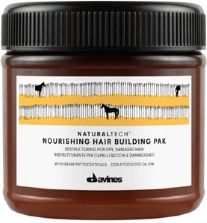 Davines Natural Tech Nourishing Hair Building Pak 250ml