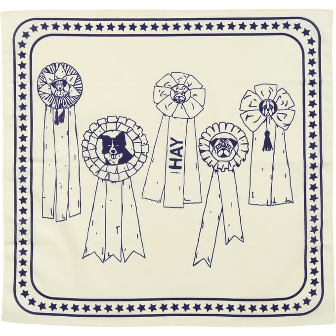 Hay zzHAY - Recycled Dogs Scarf 55 x 55 (White & Blue)