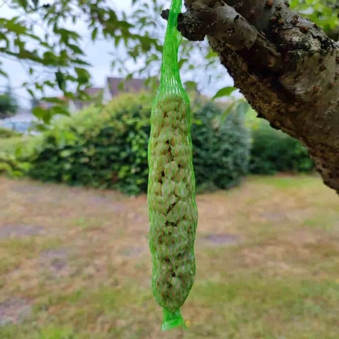 Pindakaas Stangen 0.18kg voor Vogels - 2 stuks