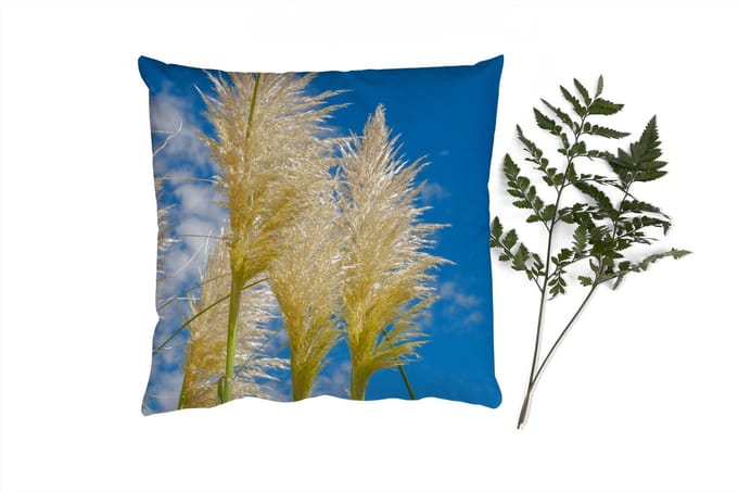 Sierkussens - Kussentjes Woonkamer - 50x50 cm - Planten - Pampasgras - Lucht