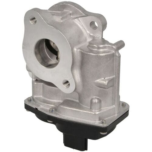 EGR-klep DELPHI EG10747-12B1