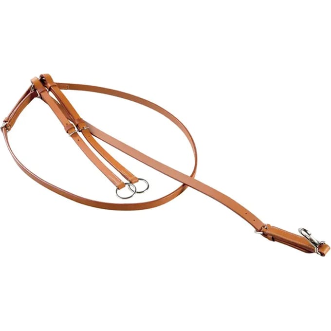 Martingale met ringen en 2 halsbanden Pool's