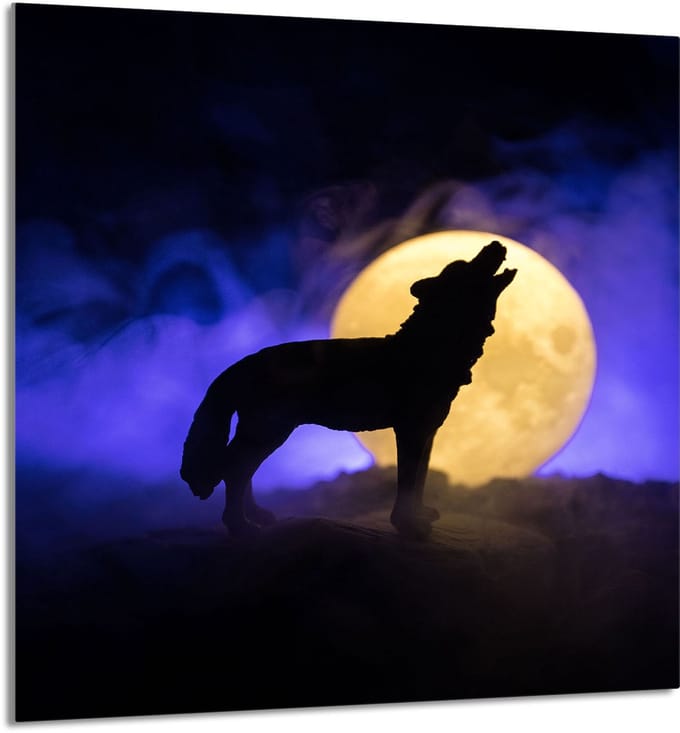 TMK ArtDeko - Snijplank - 60x65 cm - Tempered Glass - Wolf Ontwerp