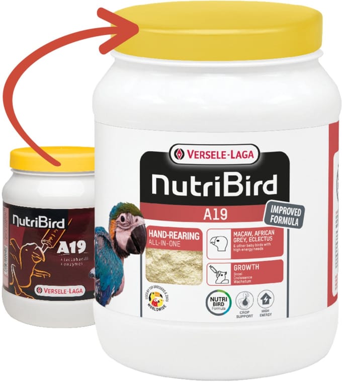 Versele-Laga Nutribird A19 Papegaai - Vogelvoer - 800 g