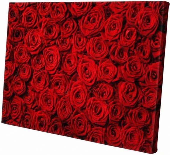Rode Rozen | 30  x 20 CM | Natuur | Schilderij | Canvasdoek | Schilderij op canvas