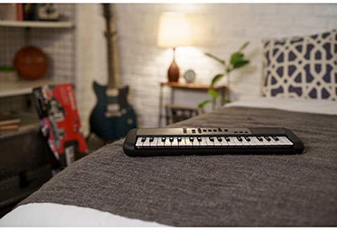 Draagbaar Mini Keyboard met Geweldig Geluid en Effecten