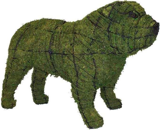 Hond Bulldog - Mos