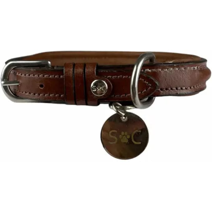 Hondenhalsband Silver Crown JO