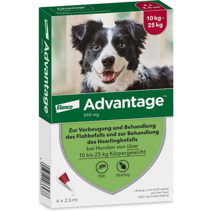 Advantage® 250 4 Pipetten voor honden van 10kg tot minder dan 25kg - NL