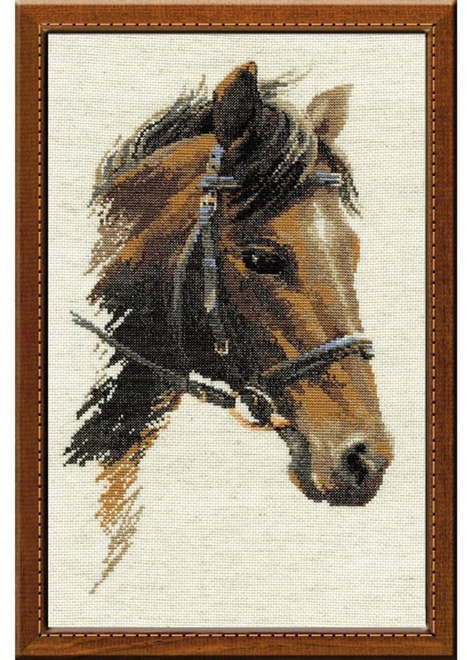 Riolis borduurpakket Paard Bulat 826