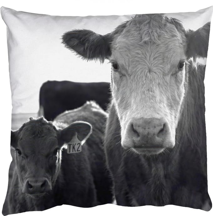 Sierkussens - Kussentjes Woonkamer - 45x45 cm - Koeien - Zwart - Wit