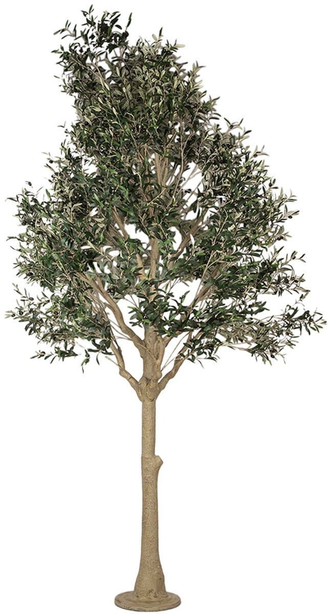 Clayre & Eef Kunst Olijfboom 320 cm Groen Kunststof
