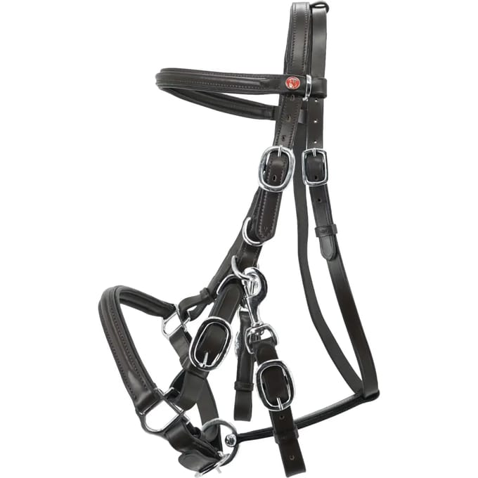 Hoofdstel Kieffer Trail with chrome fittings