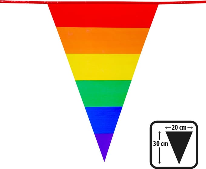 Vlaggenlijn Regenboog pride 10m.
