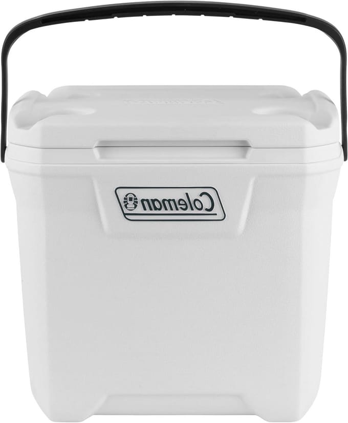 Koelbox - IJsbox Koeltas - Buitenactiviteiten - Houdt ijs 3 dagen - 264 liter - Wit