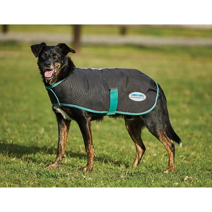 Hondendeken Weatherbeeta Green-Tec Medium