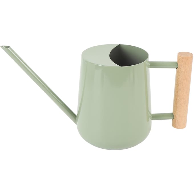Gieter Roestvrijstalen Gieter met Houten Handvat voor Succulenten Plant Type 2 white