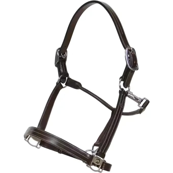 Halsband voor paard met aanpassingen Dy'on US