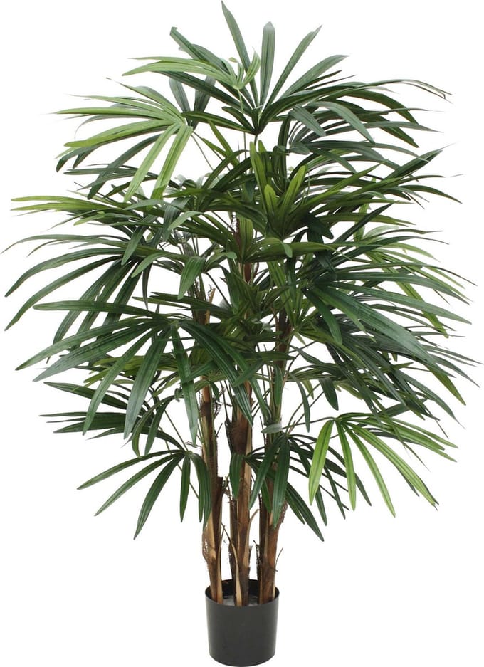 Designplants Raphis Palm Kunstplant