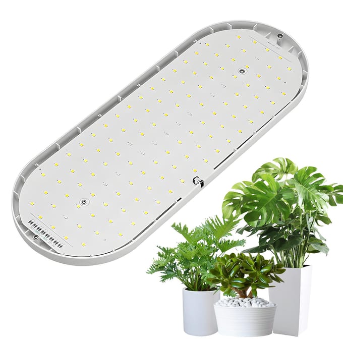 LED Groeilamp Volledig Spectrum 10W 2U/4U/8U Timer 4 Dimbare Niveaus Plantenlampen voor Kamerplanten AU Plug wit