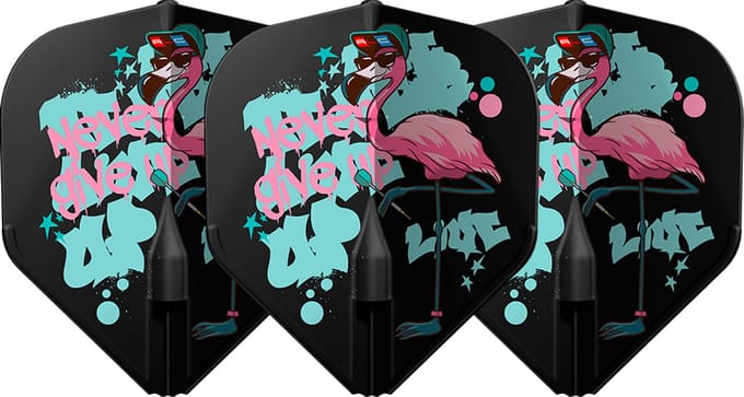 L-Style EZ L1 Arashi Matsumoto V3 - Dart Flights