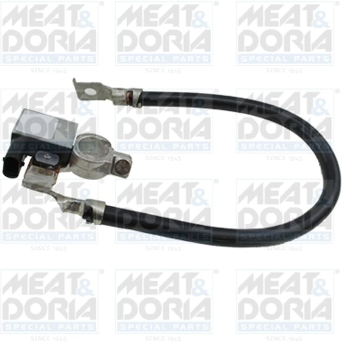 Sensor, accumanagement MEAT & DORIA 241019