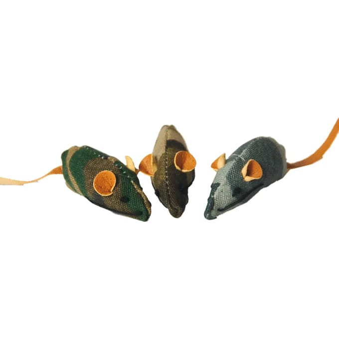 Kattenmuizen met kattenkruid Martin Sellier