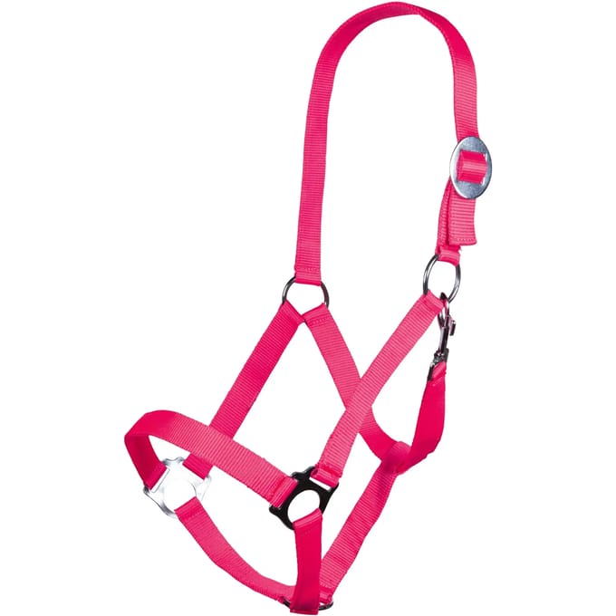 Halster voor paarden HKM Stars Economy