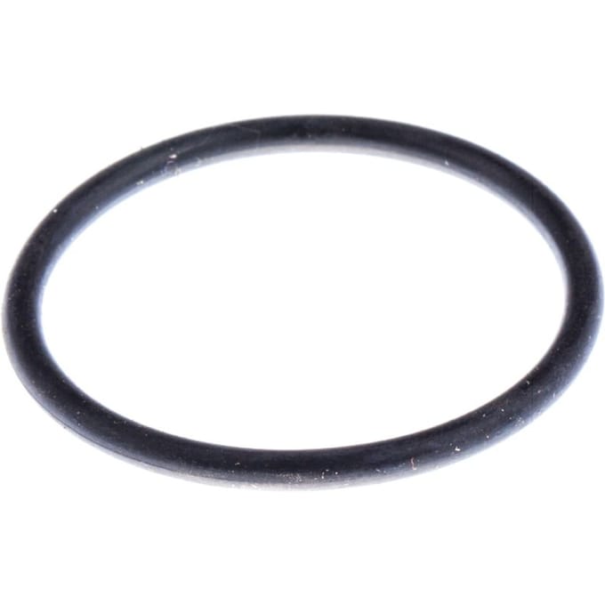 O-ring