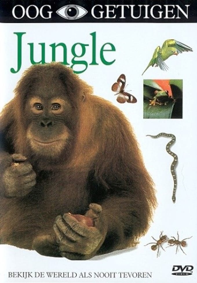 Ooggetuigen - Jungle (DVD)