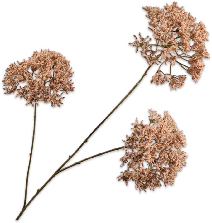 Silk-ka - Kunstbloem - trachelium - creme - H85 cm