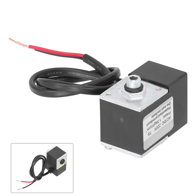 Vertraagde Solenoïde Klep Elektrisch Messing Luchtcompressor Pomp Accessoires ACDC 220V