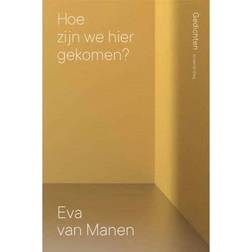 Hoe Zijn We Hier Gekomen? - Eva van Manen
