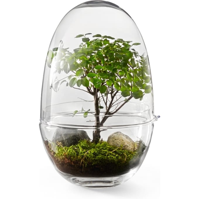 Design House Stockholm - Grow broeikas - XL - transparant