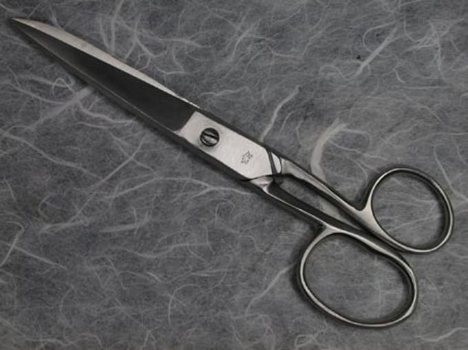 A.A.S. schoolschaar 15 cm ergonomisch - Schaar RVS